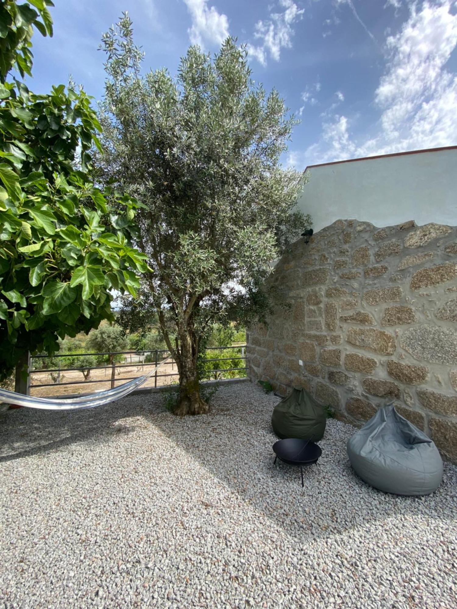 Casa De Pedra Em Vinha No Dao Villa Nelas Exterior foto
